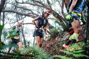 BIB: 
                            <button type="button" onclick="openModal(26295376)" class="btn btn-primary btn-sm float-right btn-popup" data-toggle="modal" data-target=".modal-high-quality">
                        <i class="fas fa-shopping-cart"></i> Add to Cart
                    </button>
                                            <button type="button" onclick="isThisMe(26295376, true)" class="btn btn-success btn-sm float-right btn-popup btn-isme hidden" data-toggle="tooltip" data-placement="bottom" title="นี่คือรูปของคุณใช่ไหม คลิกที่นี่เพื่อเอาเข้าอัลบั้ม">
                        <i class="fas fa-plus"></i> Add to album
                    </button>
                    <button type="button" onclick="isThisMe(26295376, false)" class="btn btn-warning btn-sm float-right btn-popup btn-isnotme hidden">
                        <i class="fas fa-ban"></i> Remove from album
                    </button>